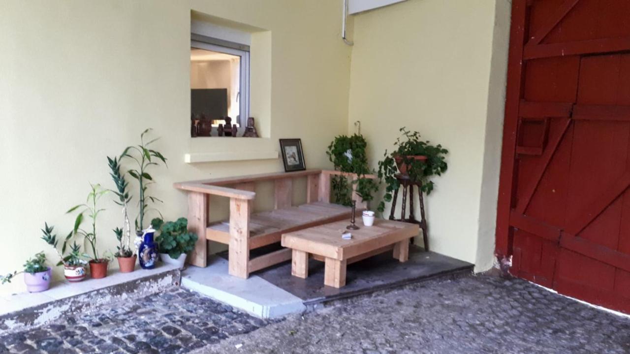 Chez Pinoche Appartement Gertwiller Buitenkant foto